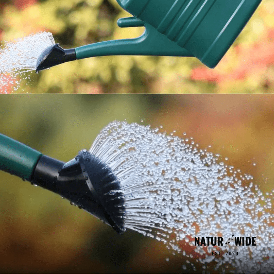 Garden Watering Can 1.3 Gallon – Long Spout & Sprinkler Head