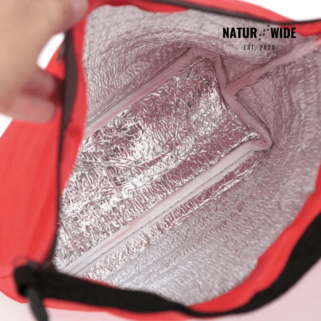 Insulated Portable Lunch Bag & Food Storage Handbag