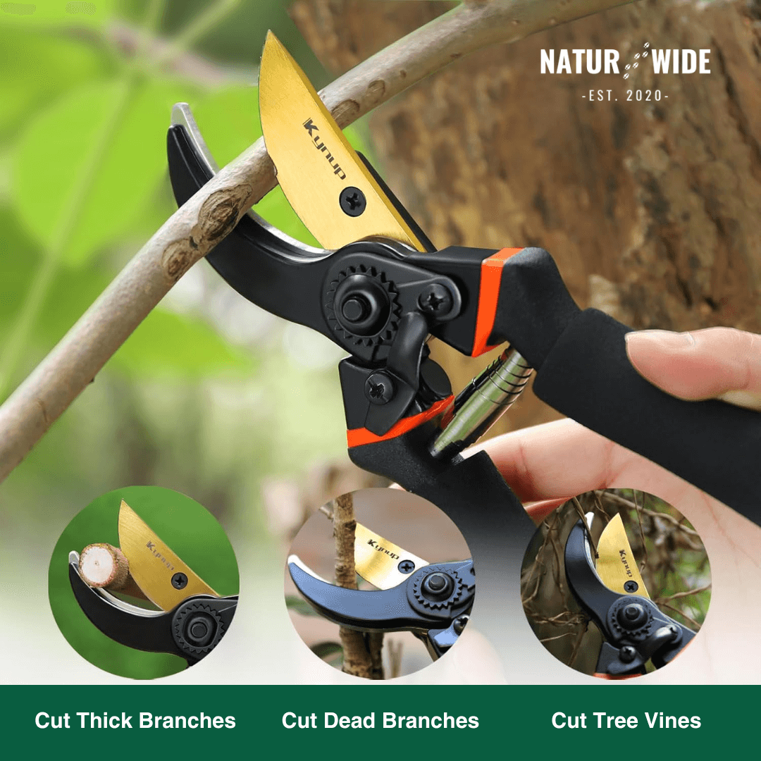 AIRAJ 8.5 Inch Pruner Shears SK5 Blade Pruning Scissors for Bonsai Fruit Trees Flowers Pruners，Ergonomic Non-slip Handles