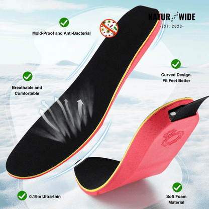 App-Controlled Smart Rechargeable Heated Insoles