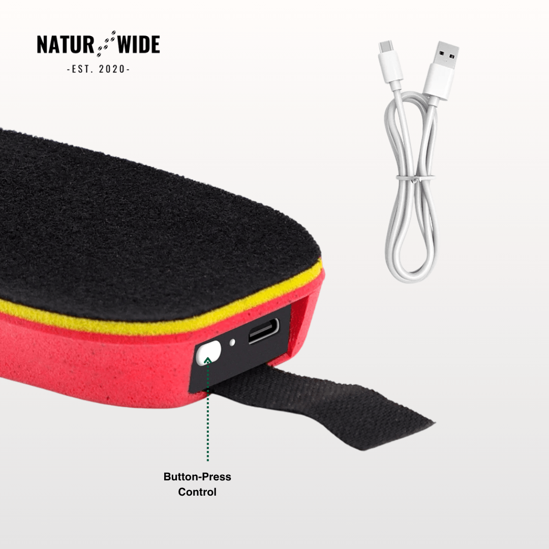 App-Controlled Smart Rechargeable Heated Insoles
