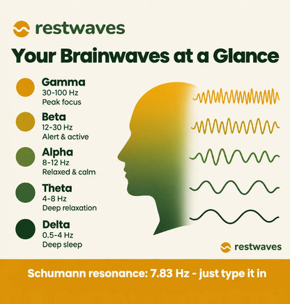 Brainwave bands from delta to gamma and the Schumann resonance at 7.83 Hz